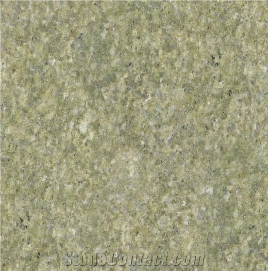 Verde Portofino Tile