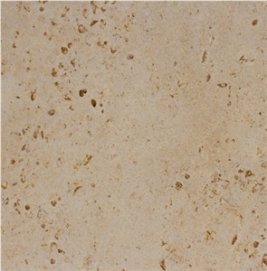 Verona Fossil Limestone