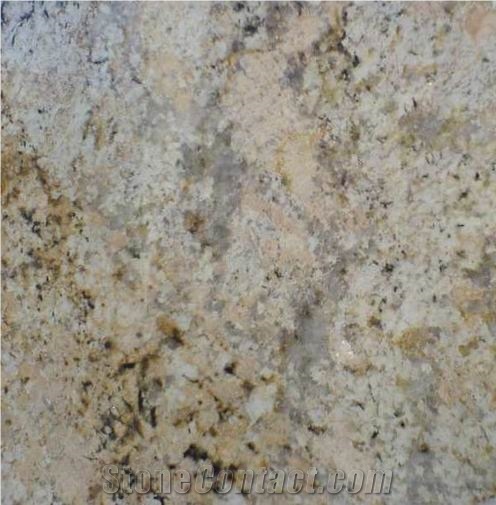 Versace Granite importance=