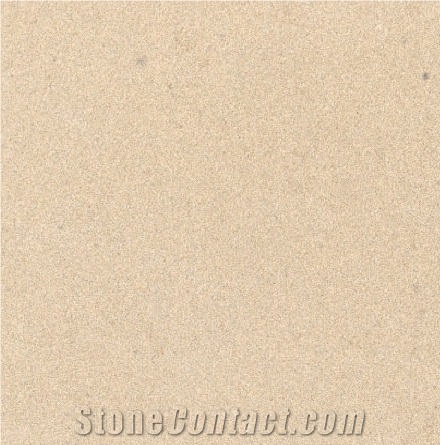 Vietnam Beige Sandstone importance=