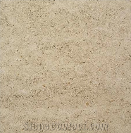 Vilhonneur Limestone Tile