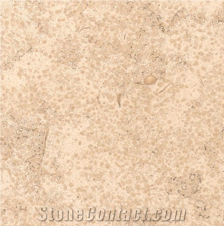 Vilhonneur Limestone Tile