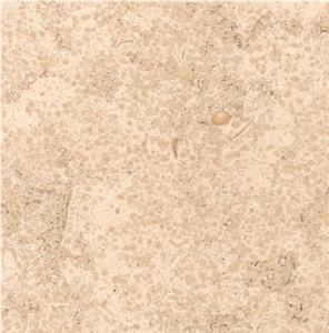 Vilhonneur Limestone Tile