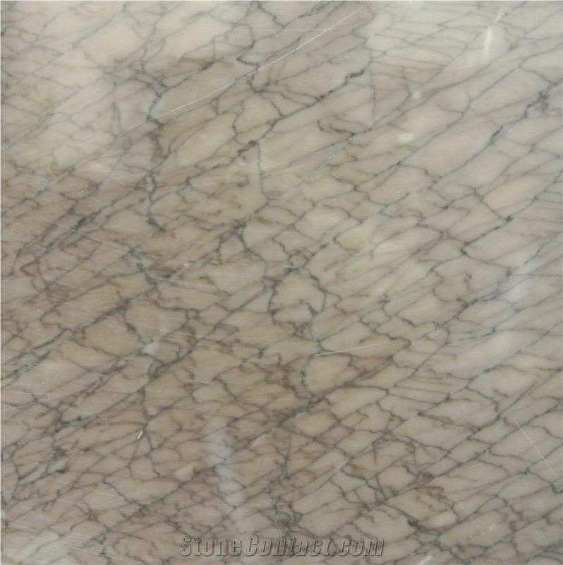 Viola Marble importance=