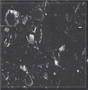 Vytina Black Marble