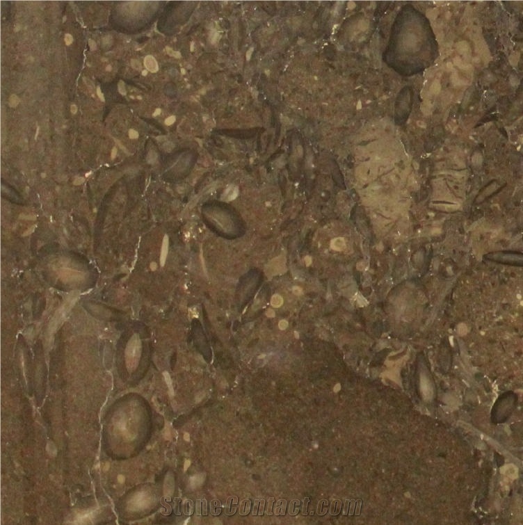 Walnut Brown Limestone importance=