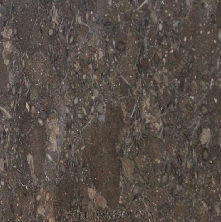 Walnut Brown Limestone Tile