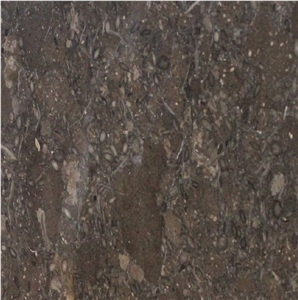 Walnut Brown Limestone Tile