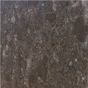 Walnut Brown Limestone Tile