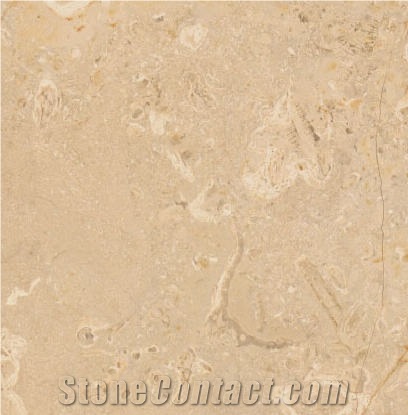Wapanucka Oolitic Limestone importance=