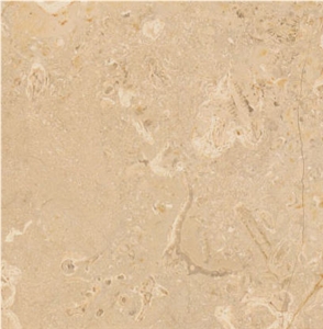 Wapanucka Oolitic Limestone