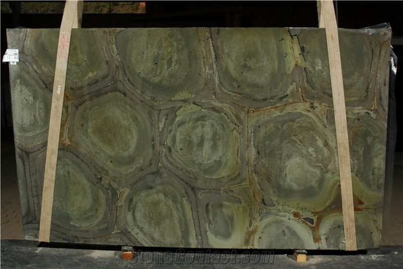 Wasabi Green Quartzite Slab