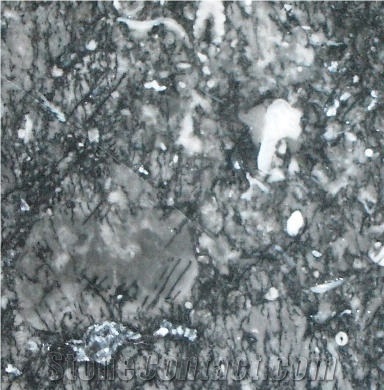 Water Fern Roots Marble importance=