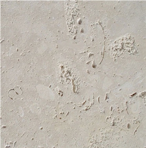 White Coral Stone