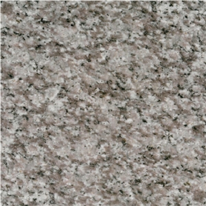 White Grain Zhangzhou Granite