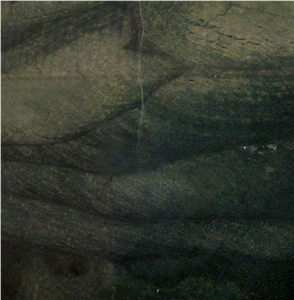 Wild Wood Granite