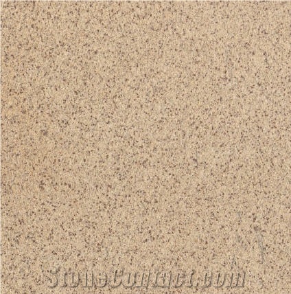 Wondabyne Sandstone importance=