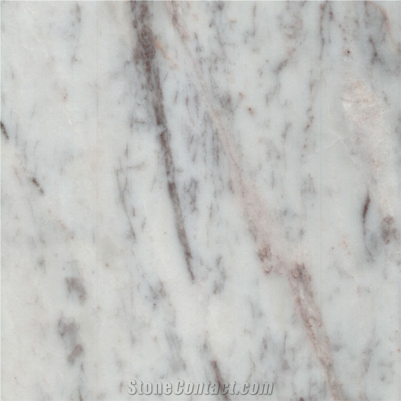 Wonder White Marble Tile