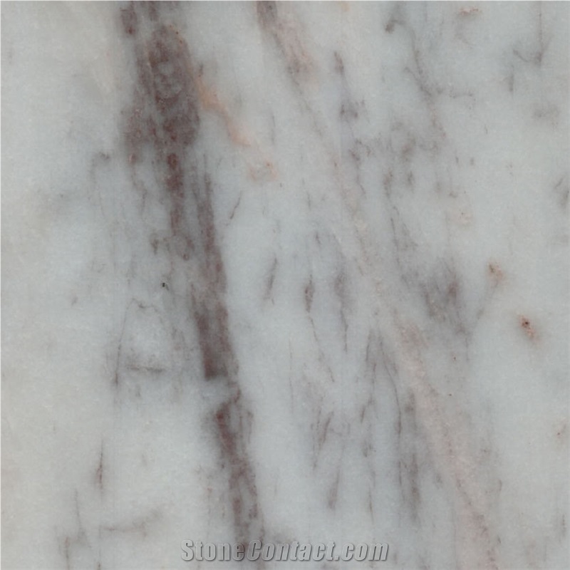 Wonder White Marble Tile