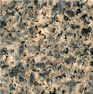 Wulian Leopard Skin Granite