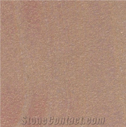 Xisto Marron importance=