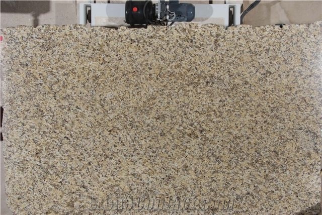 Yellow Fox Slab
