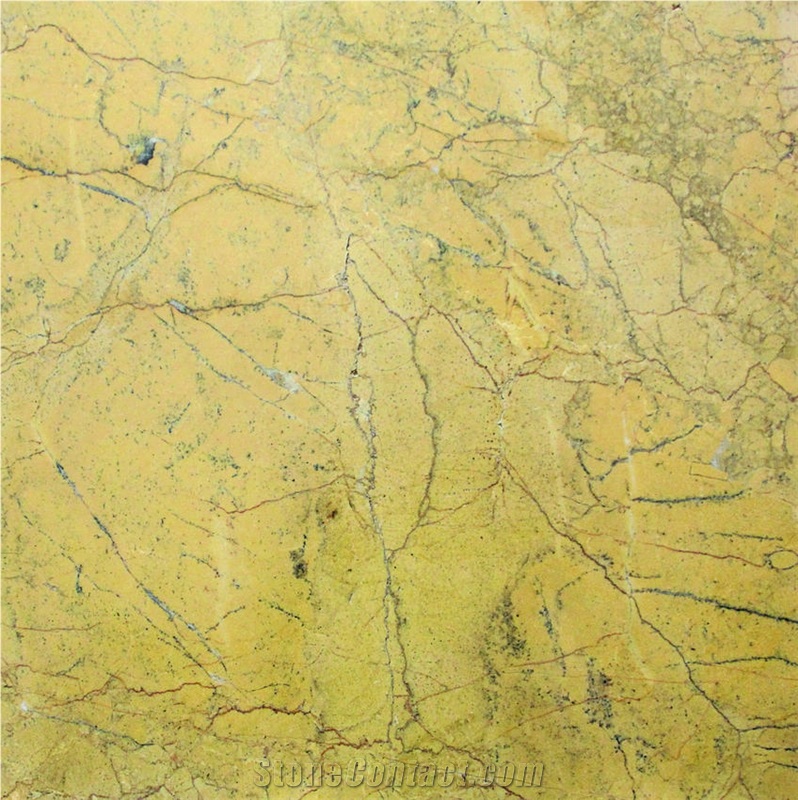 Yellow Spider importance=