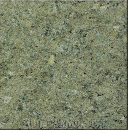 Yuexi Leopard Green Granite importance=