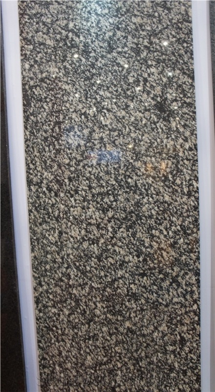 Zebra Black Granite Slab