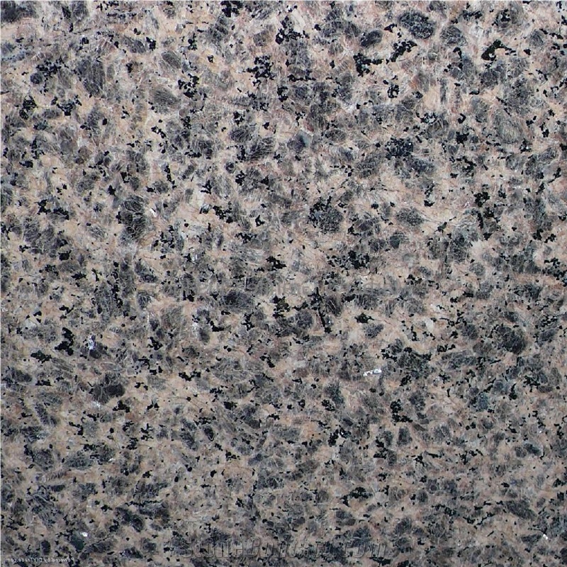 Zhangpu Leopard Skin Granite importance=