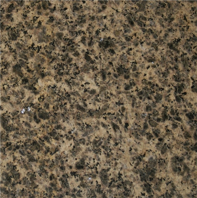Zhangpu Leopard Skin Granite Tile