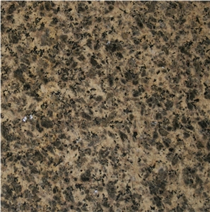 Zhangpu Leopard Skin Granite Tile