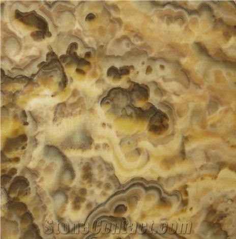 Zucchero Onyx importance=