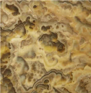 Zucchero Onyx