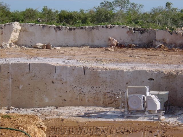 Calypso Coral Stone - Classic Coral Stone Quarry