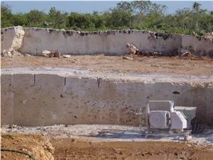 Calypso Coral Stone - Classic Coral Stone Quarry