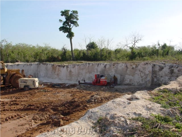Calypso Coral Stone - Classic Coral Stone Quarry