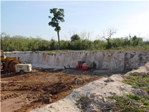 Calypso Coral Stone - Classic Coral Stone Quarry
