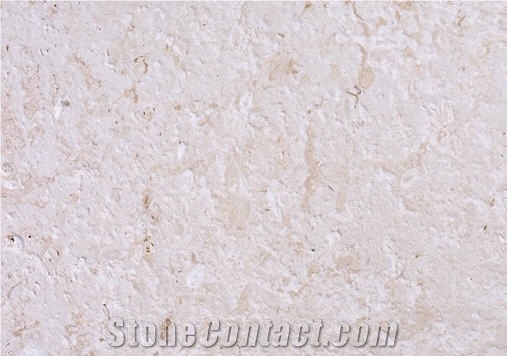 Calypso Coral Stone - Classic Coral Stone Quarry