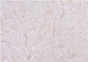 Calypso Coral Stone - Classic Coral Stone Quarry