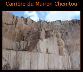 Jebel Rouge Chemtou Marble Quarry