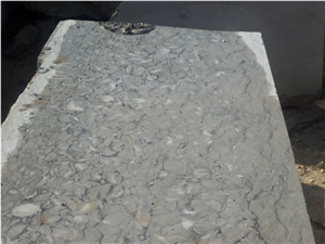 Fossil Beige Marble Quarry