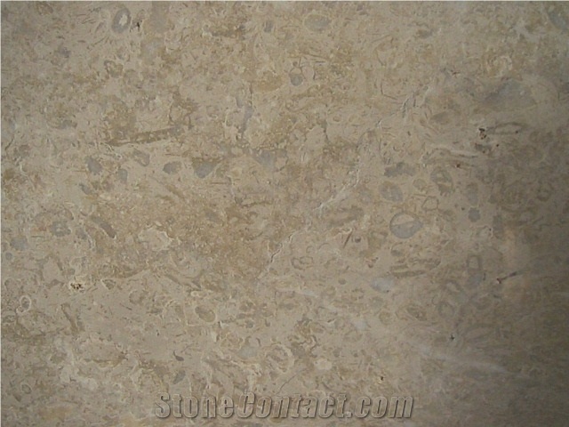 Fossil Beige Marble Quarry