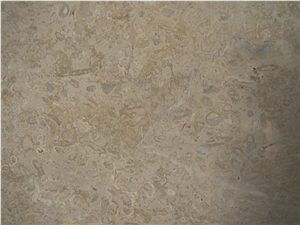 Fossil Beige Marble Quarry