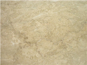 Fossil Beige Marble Quarry