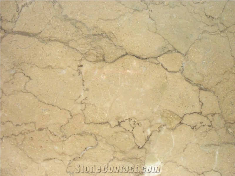 Fossil Beige Marble Quarry