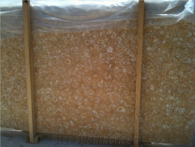 Fossil Beige Marble Quarry