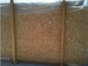Fossil Beige Marble Quarry