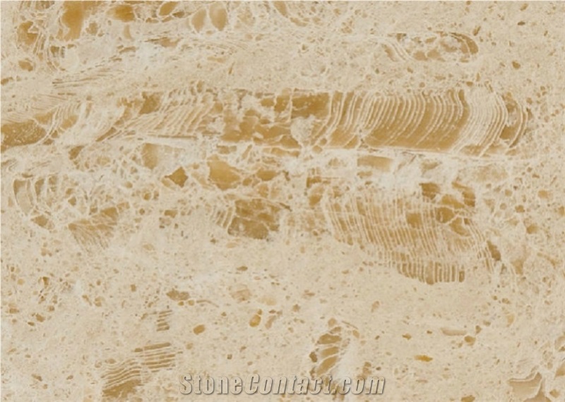 Adria Grigio Limestone - Sivac Limestone Brac Quarry