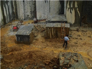 Tree Black (Black Wooden Marble) Quarry Tree Black (Black Wooden Marble) Quarry
